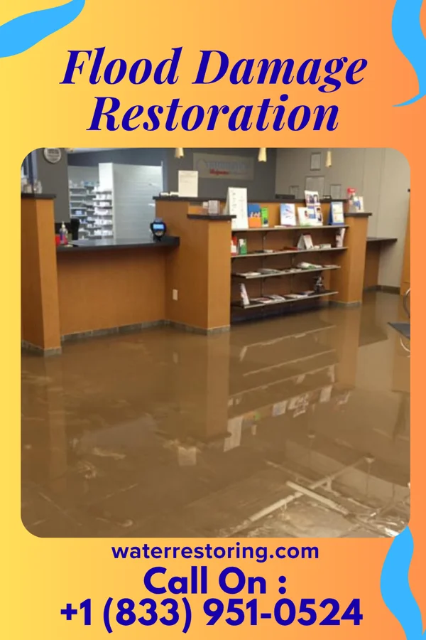 Flood Damage Restoration in Saxis, VA