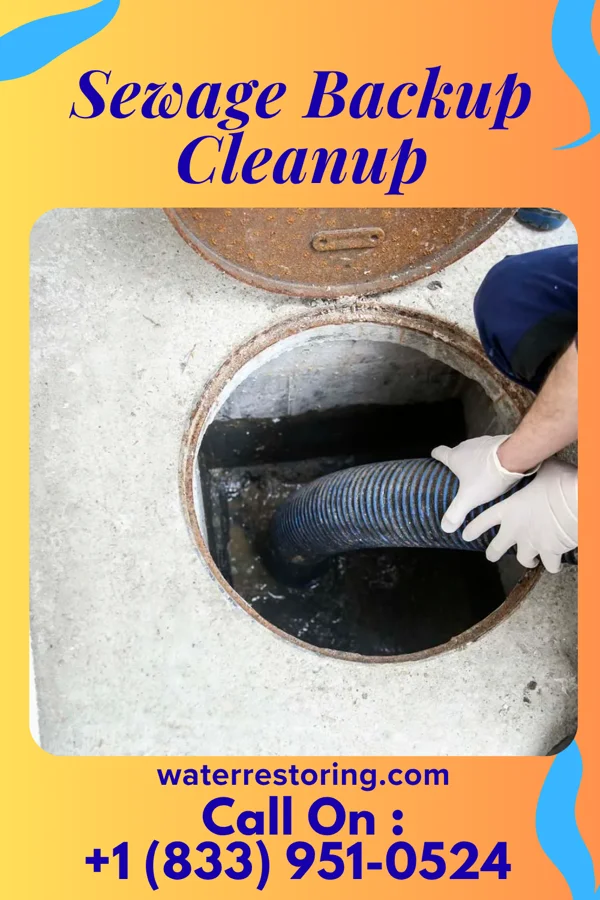 Sewage Backup Cleanup in Saxis, VA