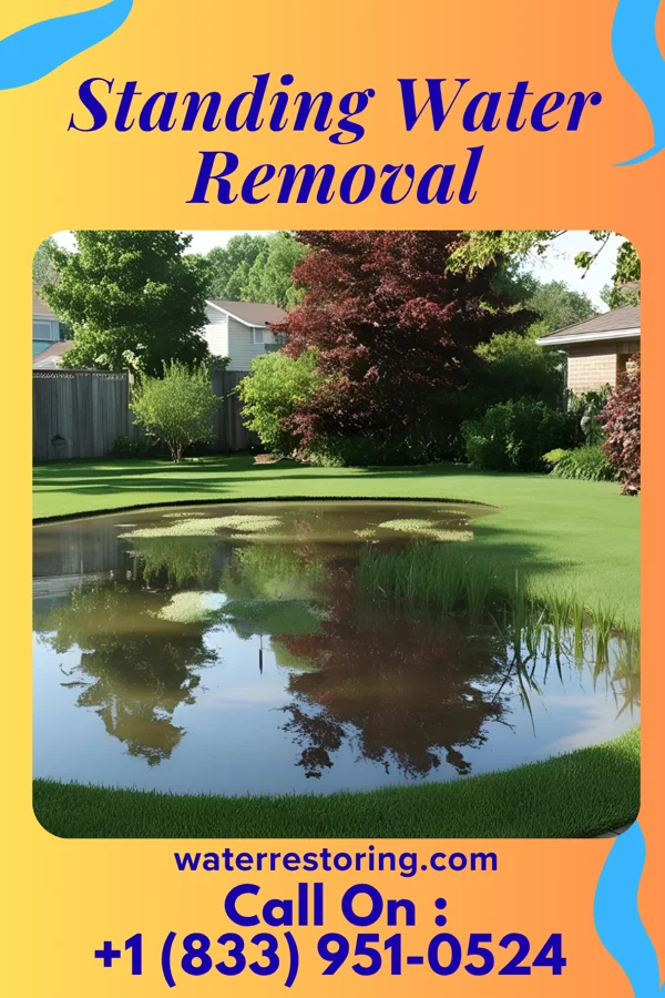 Standing Water Removal in Saxis, VA
